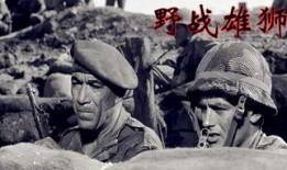 野战电影视频在线观看,野战电影视听盛宴
