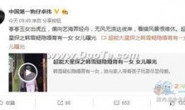 卓伟预告爆料视频大全下载,揭秘娱乐圈幕后真相