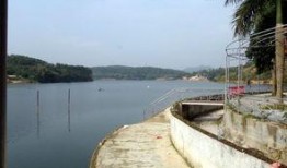 爆料罗村水库最新消息视频,揭秘视频曝光惊人真相