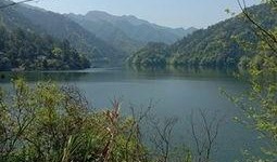 爆料罗村水库最新消息视频,揭秘视频曝光惊人真相