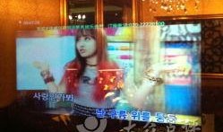 广州娱乐场所爆料热线,揭秘幕后真相，守护城市娱乐安全