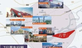 古董商最新爆料事件,神秘古董背后的惊人真相