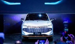 哈佛最新爆料新闻视频,最新爆料新闻视频深度解析