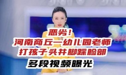 河南爆料视频大全,聚焦民生热点，揭示社会现象