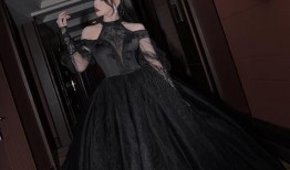 黑天鹅造型爆料视频